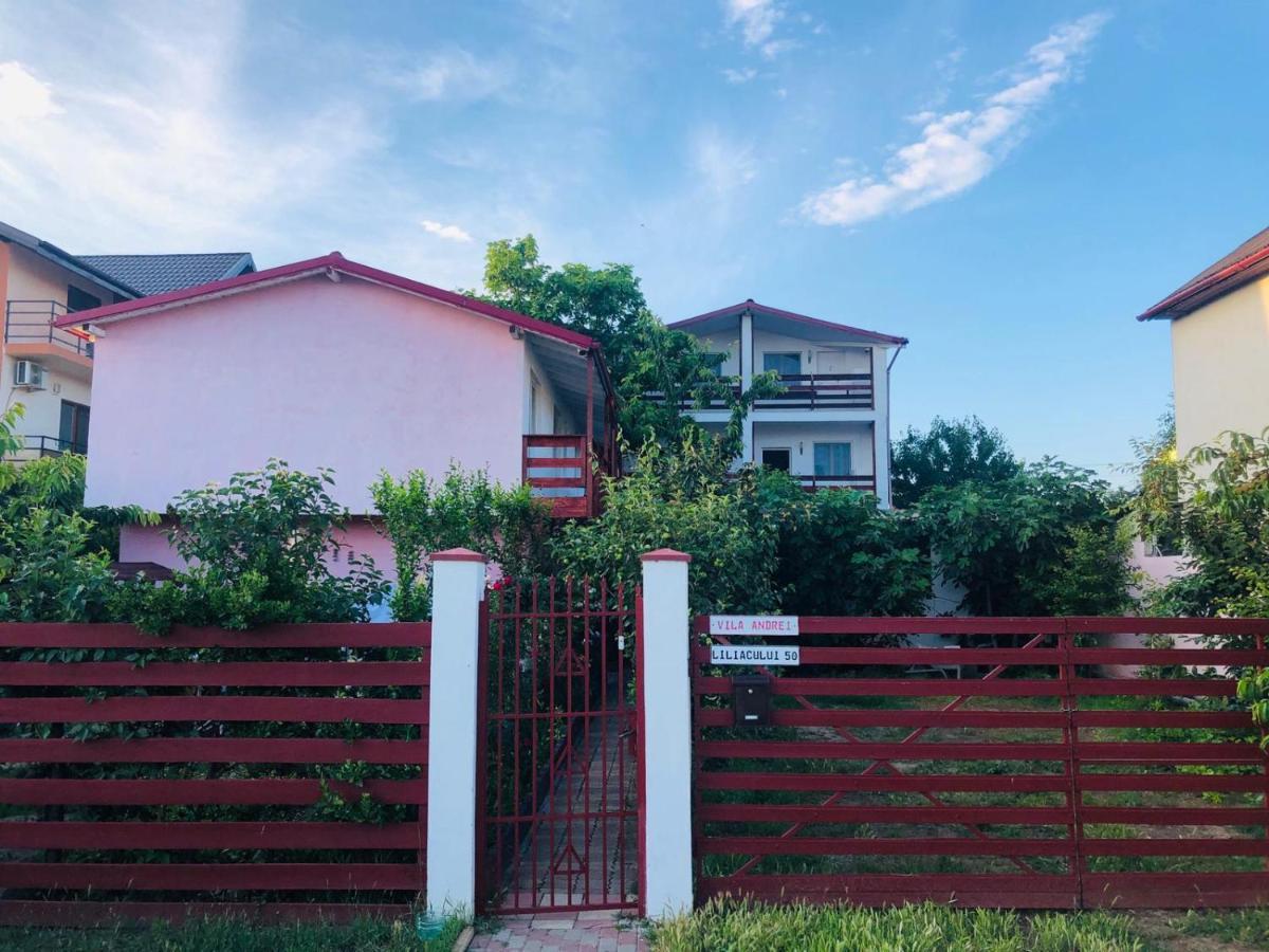 Casa Andrei Costinesti Exterior foto